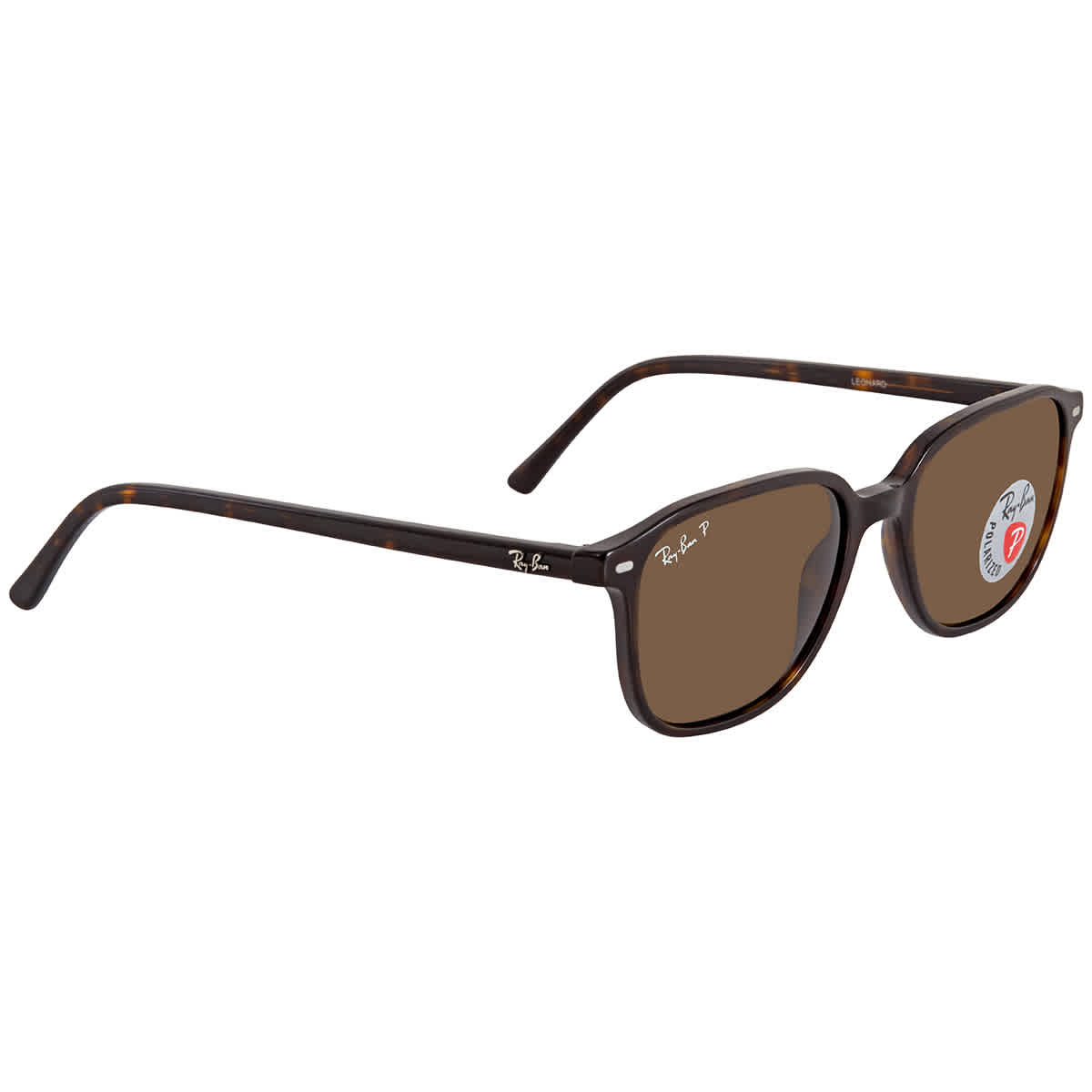 Ray Ban Leonard Polarized Brown Square Unisex Sunglasses RB2193 902/57 53