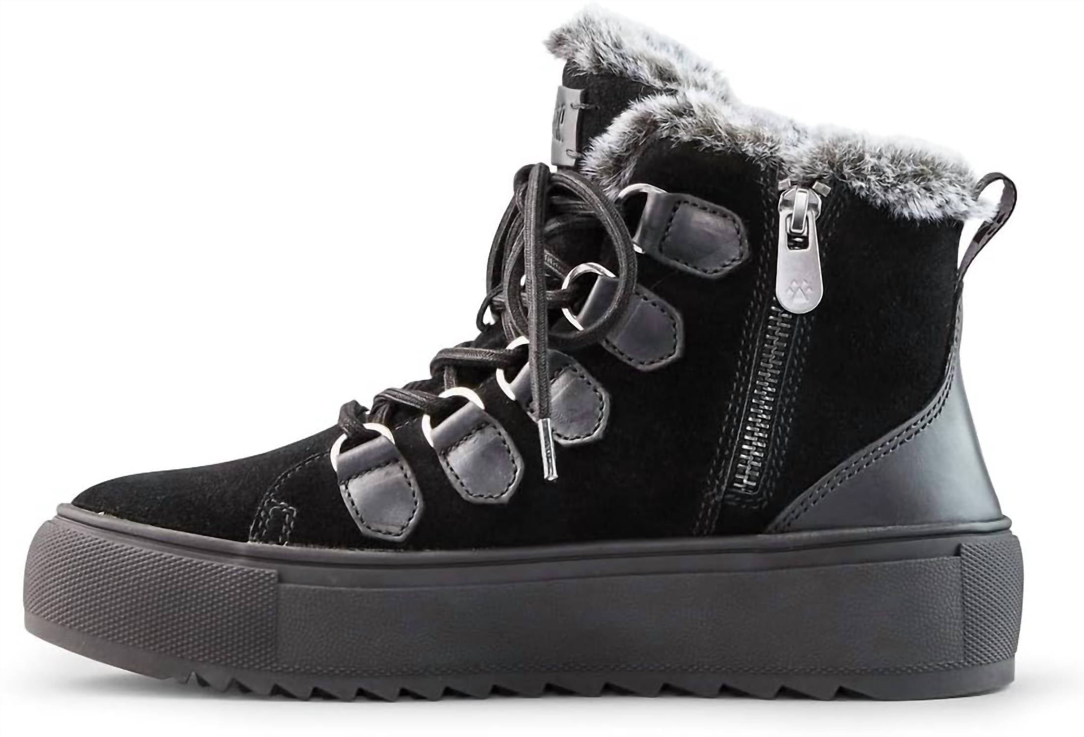 Women's Avril Winter Ankle Boots In Black All