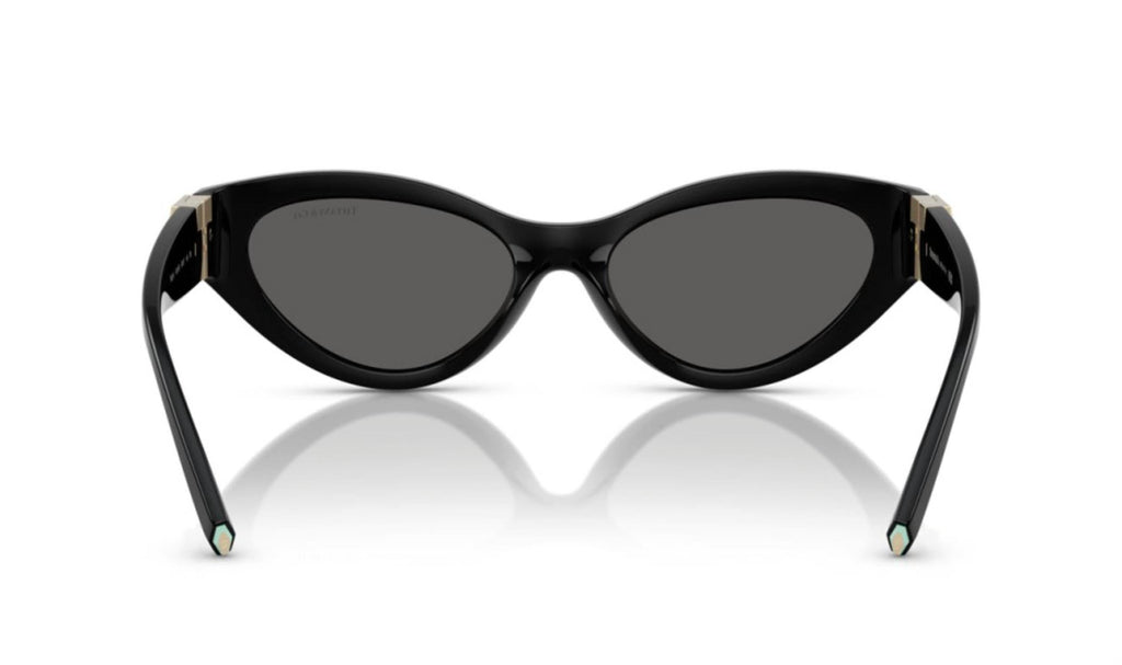 Women's Tf 4225U Sunglasses In Dark Grey