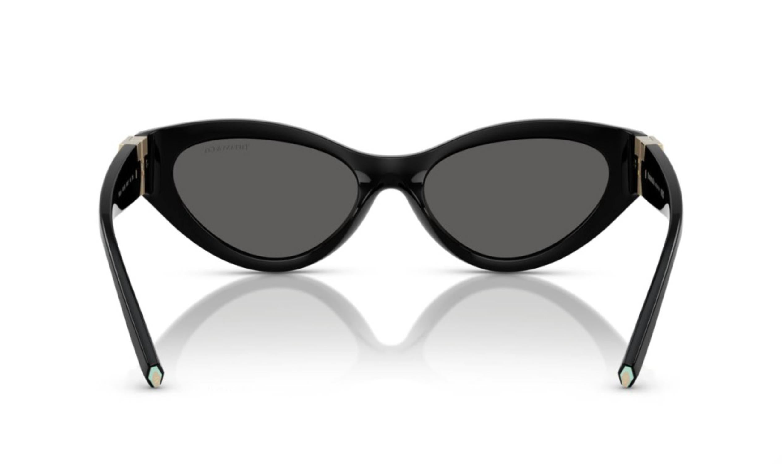 Women's Tf 4225U Sunglasses In Dark Grey