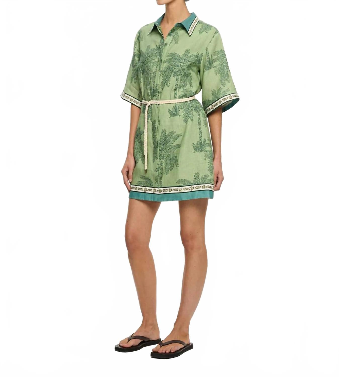 Mini Shirt Dress In Alani