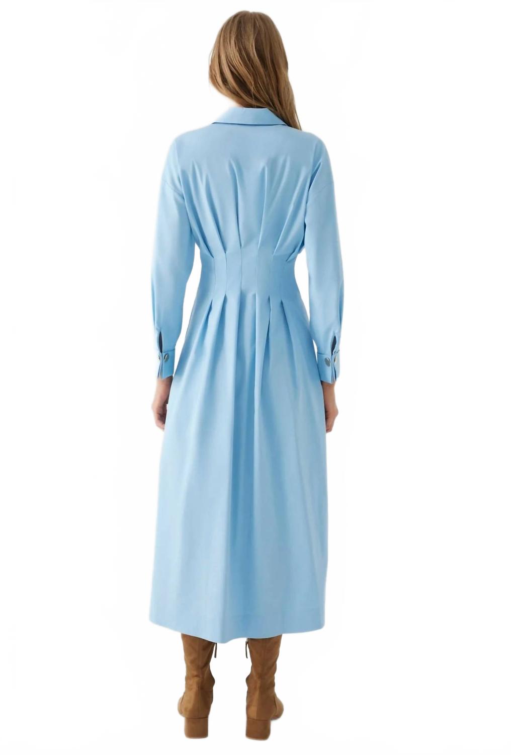 Alba Long Sleeve Dress In Blue