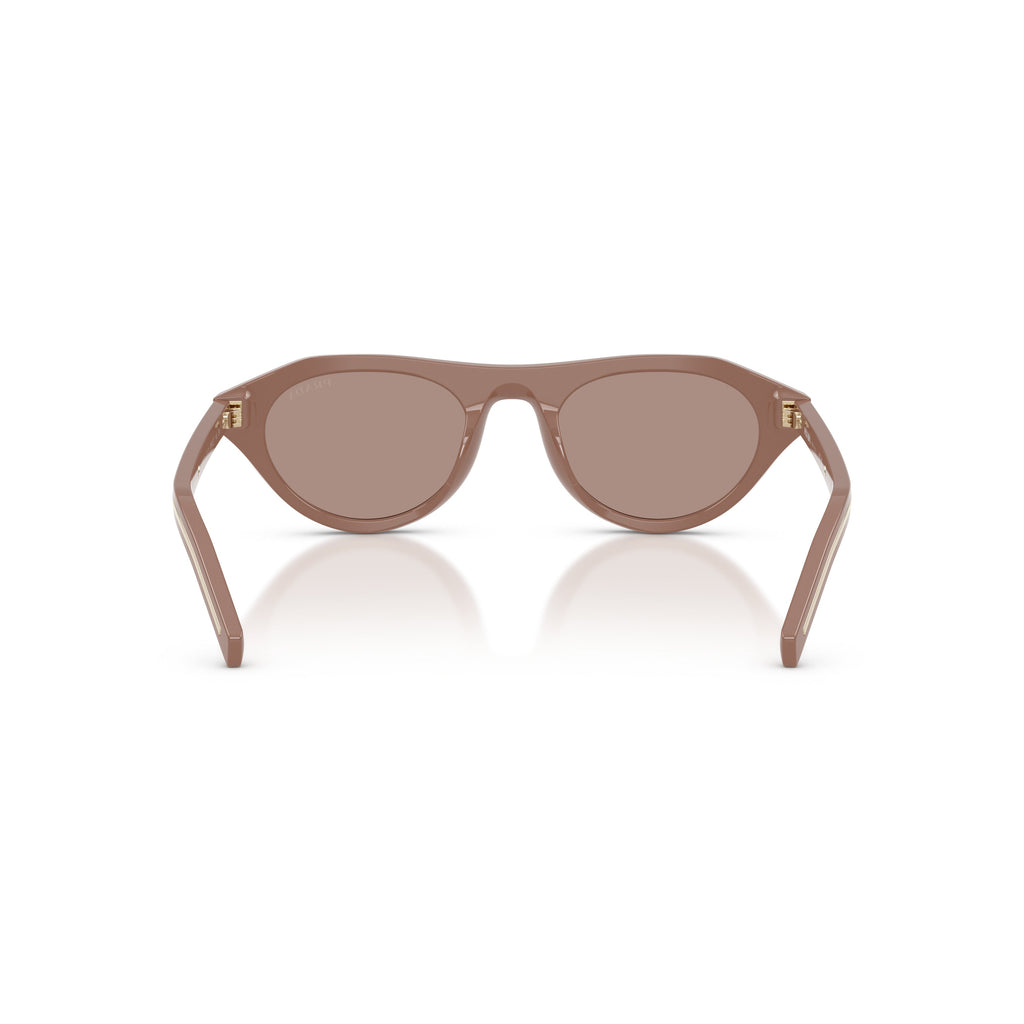 Rounded Cat-Eye Acetate Sunglasses With Gold Accents