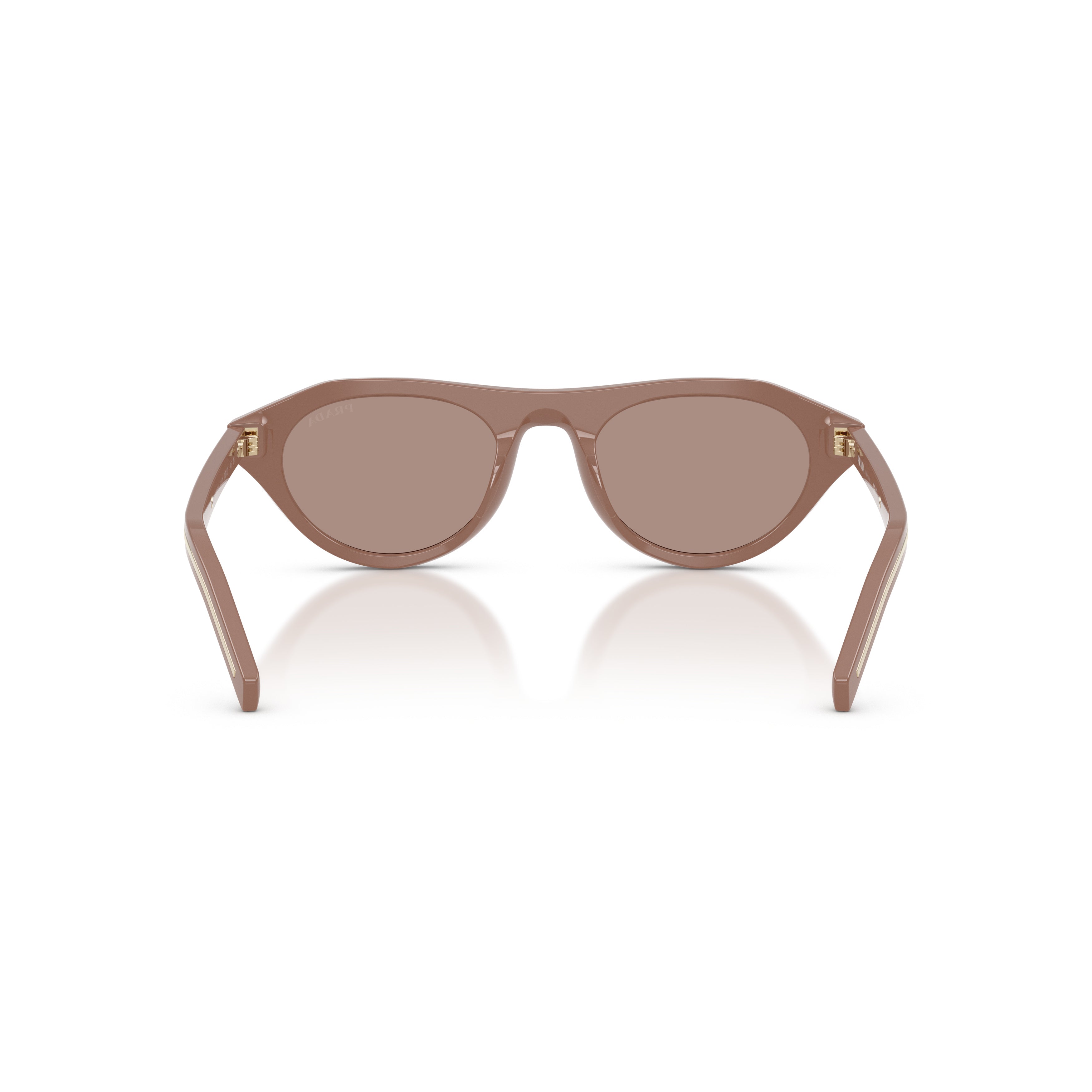 Rounded Cat-Eye Acetate Sunglasses With Gold Accents