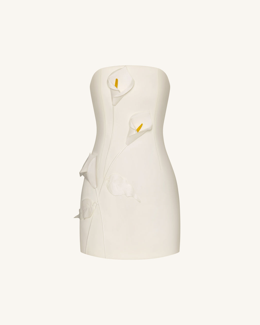 Strapless Floral Appliqué Dress - White