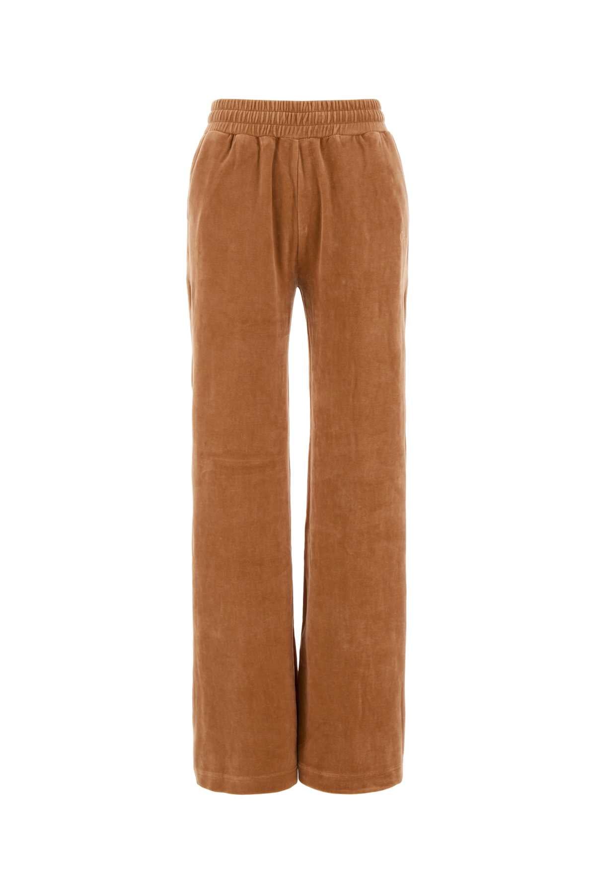 Chloe Women Peach Velvet Joggers