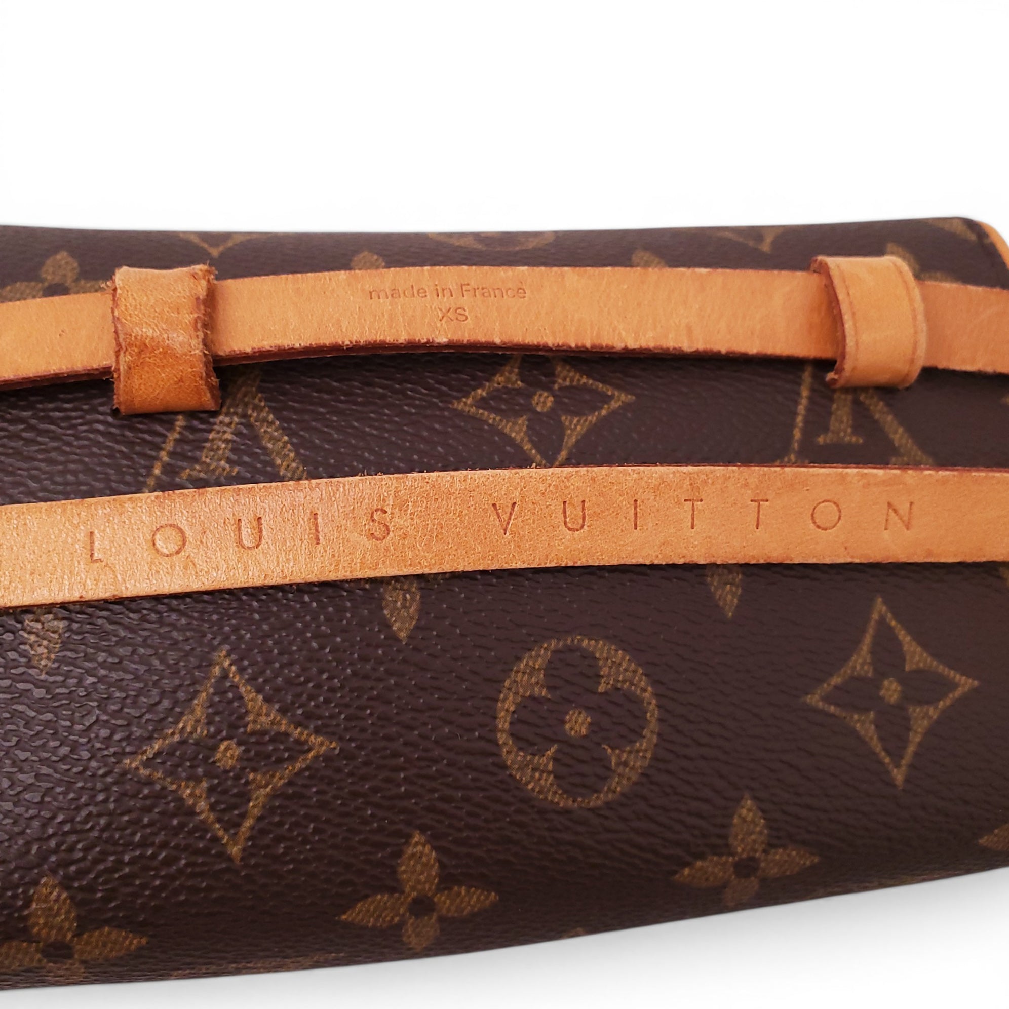 LOUIS VUITTON MONOGRAM BELT BAG