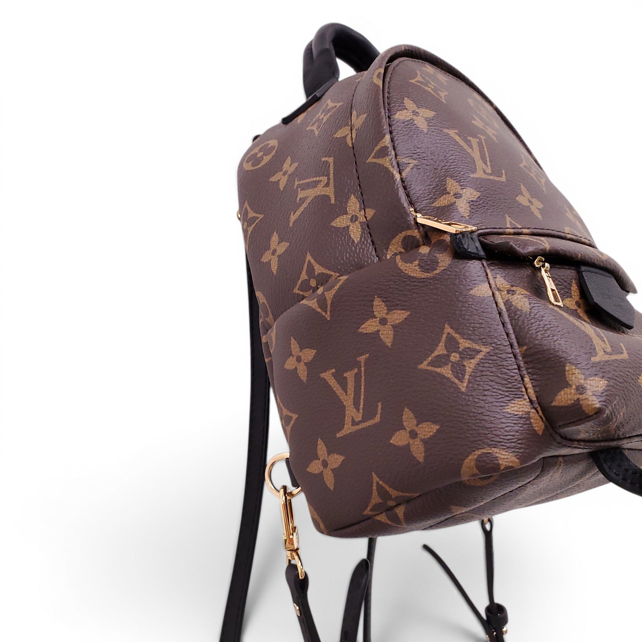 LOUIS VUITTON MONOGRAM PALM SPINGS MINI BACKPACK