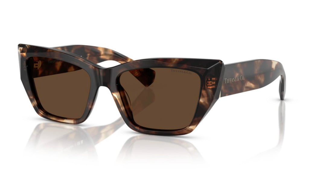 Women's Tf 4230 Sunglasses In Brown