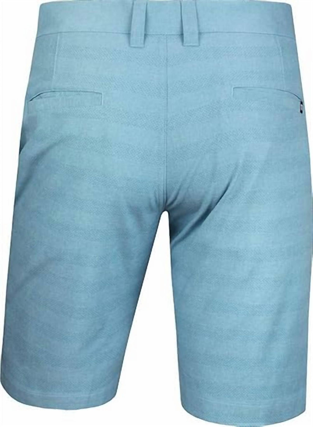 Men's Lake Powell Shorts In Heather Delphinium