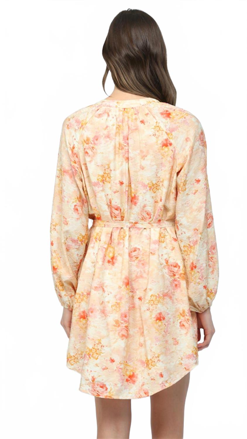 Raglan Sleeves Button Down Mini Dress In Peach Multi