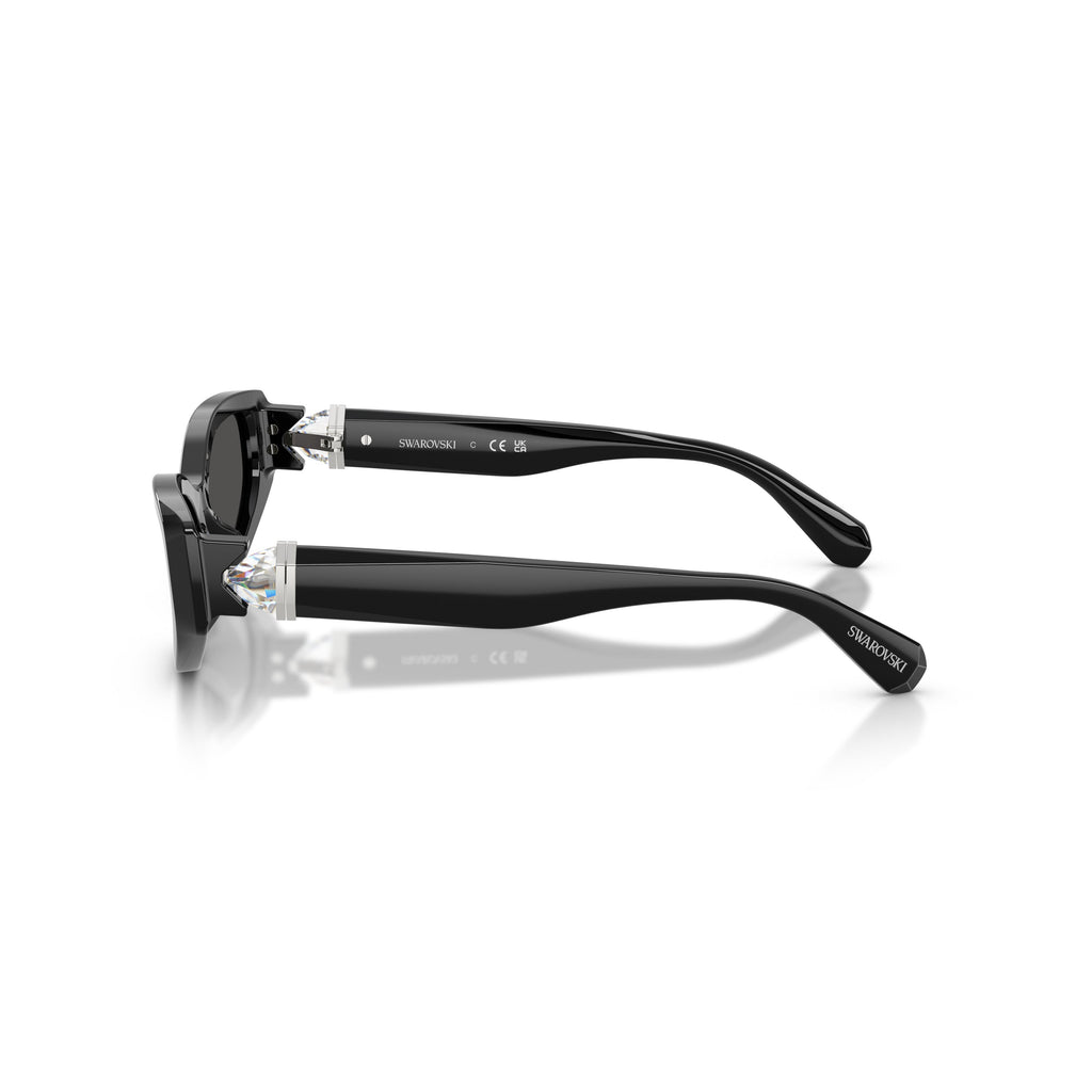 0Sk6045U Cat-Eye Sunglasses with Glossy Black Acetate Frame
