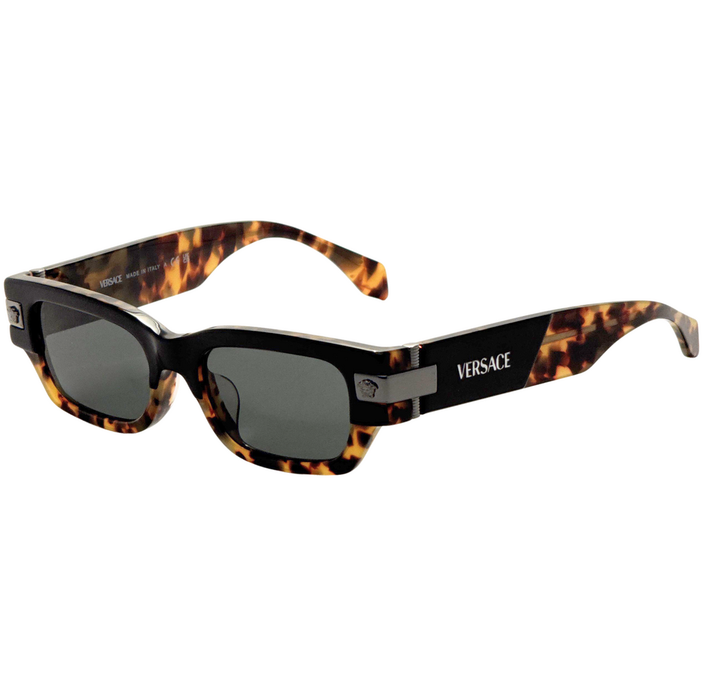 Versace Men's 53 mm Brown Sunglasses