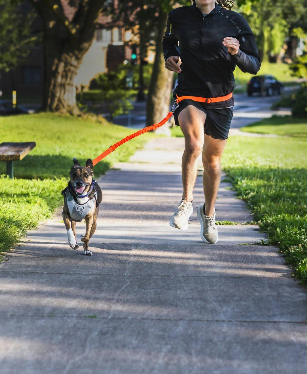 Stunt Runner Hands-Free Leash In Blue