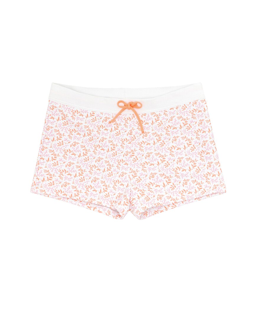 minnow Swim Brief