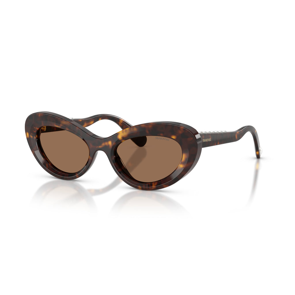 0Sk6061U Cat-Eye Sunglasses with Tortoiseshell Acetate Frame