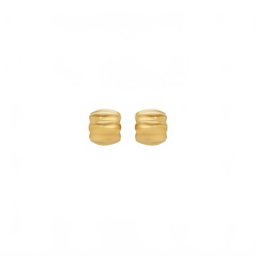 Women's Terre Earrings In Gold