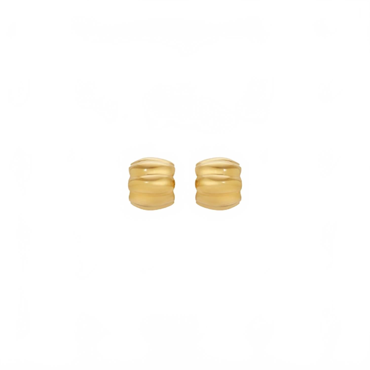 Women's Terre Earrings In Gold
