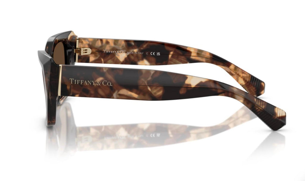 Women's Tf 4230 Sunglasses In Brown