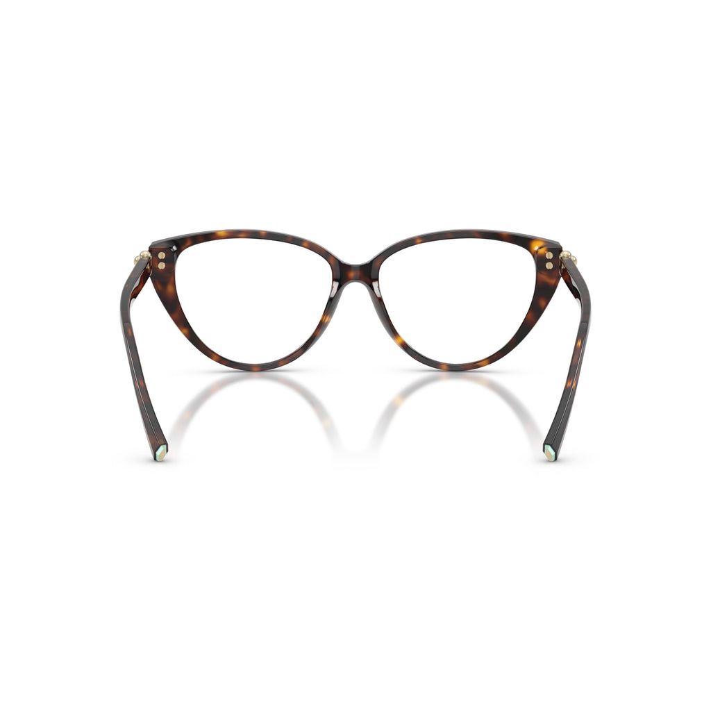 Cat-Eye Sunglasses With Tortoiseshell Frame And Gold Accents