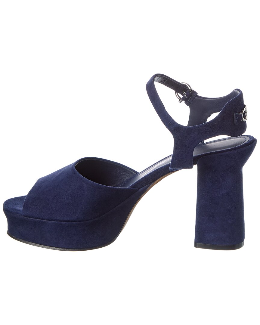 Ferragamo Sasha Suede Sandal