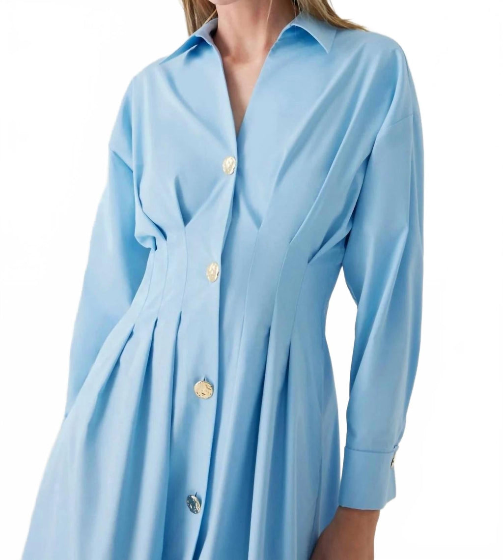 Alba Long Sleeve Dress In Blue