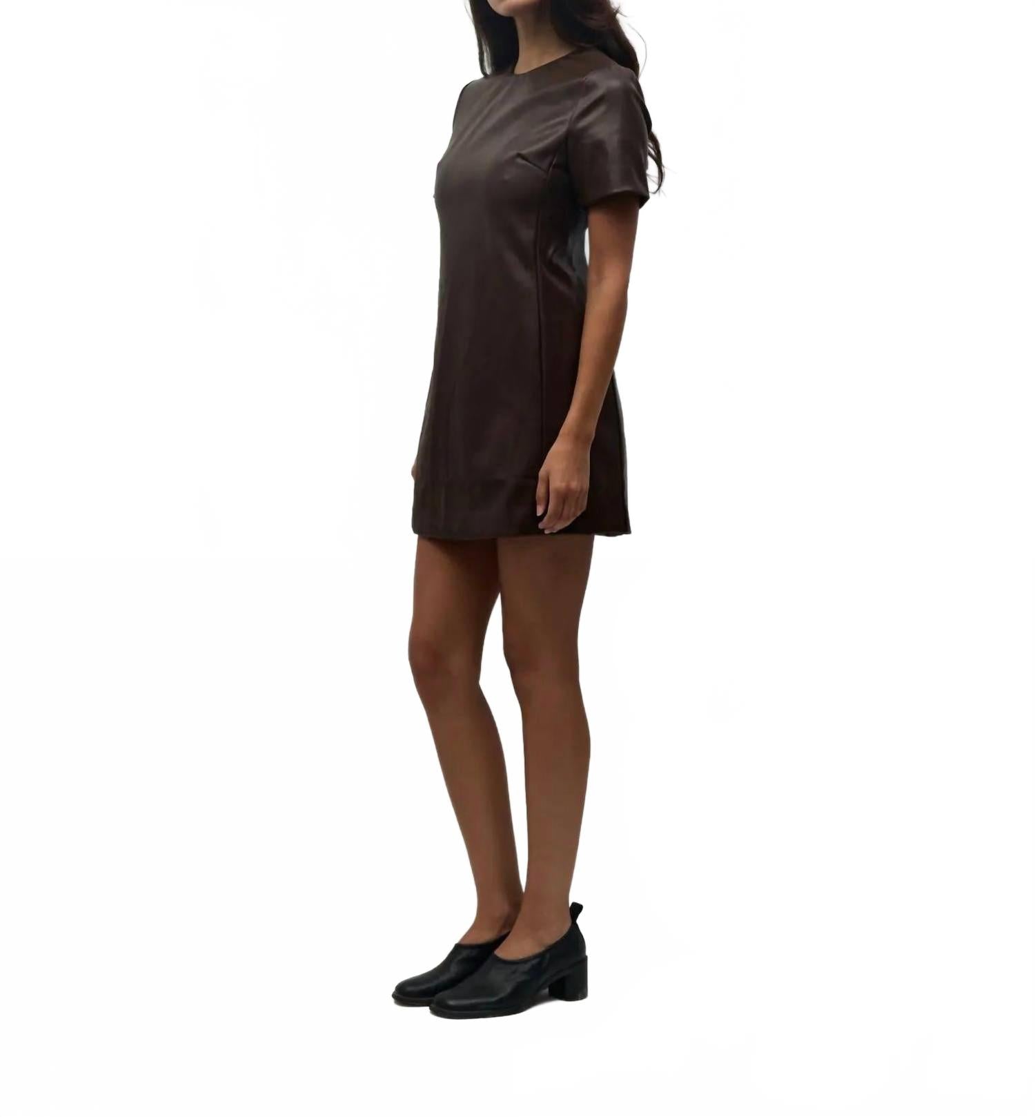 Leather Mini Dress In Brown
