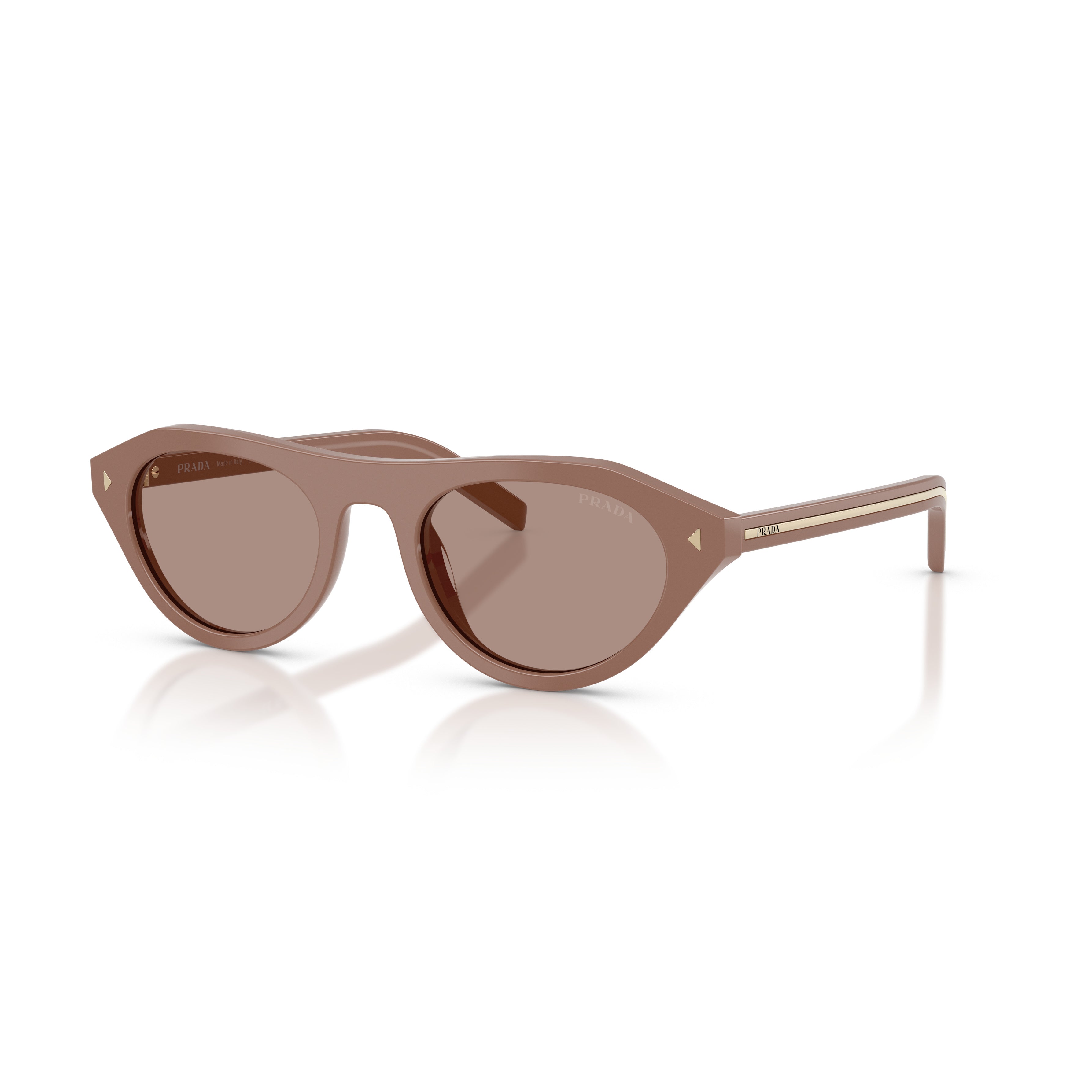 Rounded Cat-Eye Acetate Sunglasses With Gold Accents