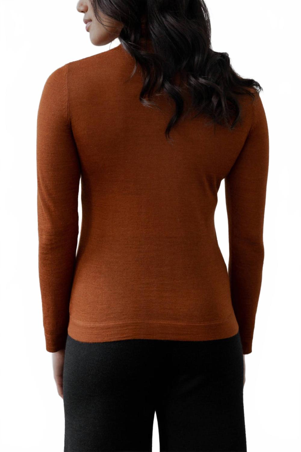 Turtle Neck Pullover In Rust