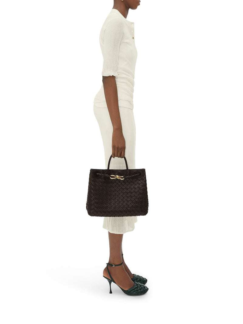 Bottega Veneta Women Medium Andiamo Bag
