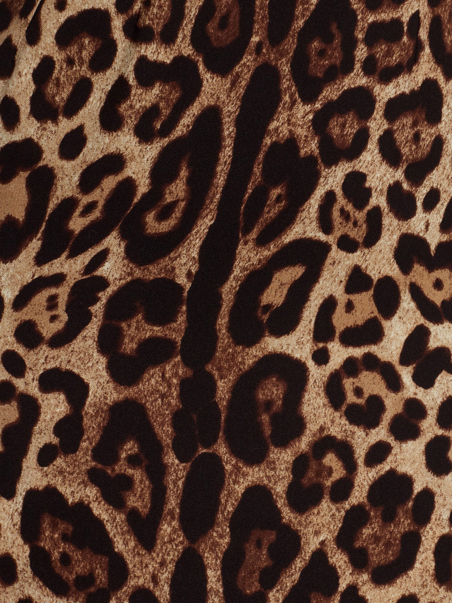 Dolce & Gabbana Women Midi Dress With Animal Print