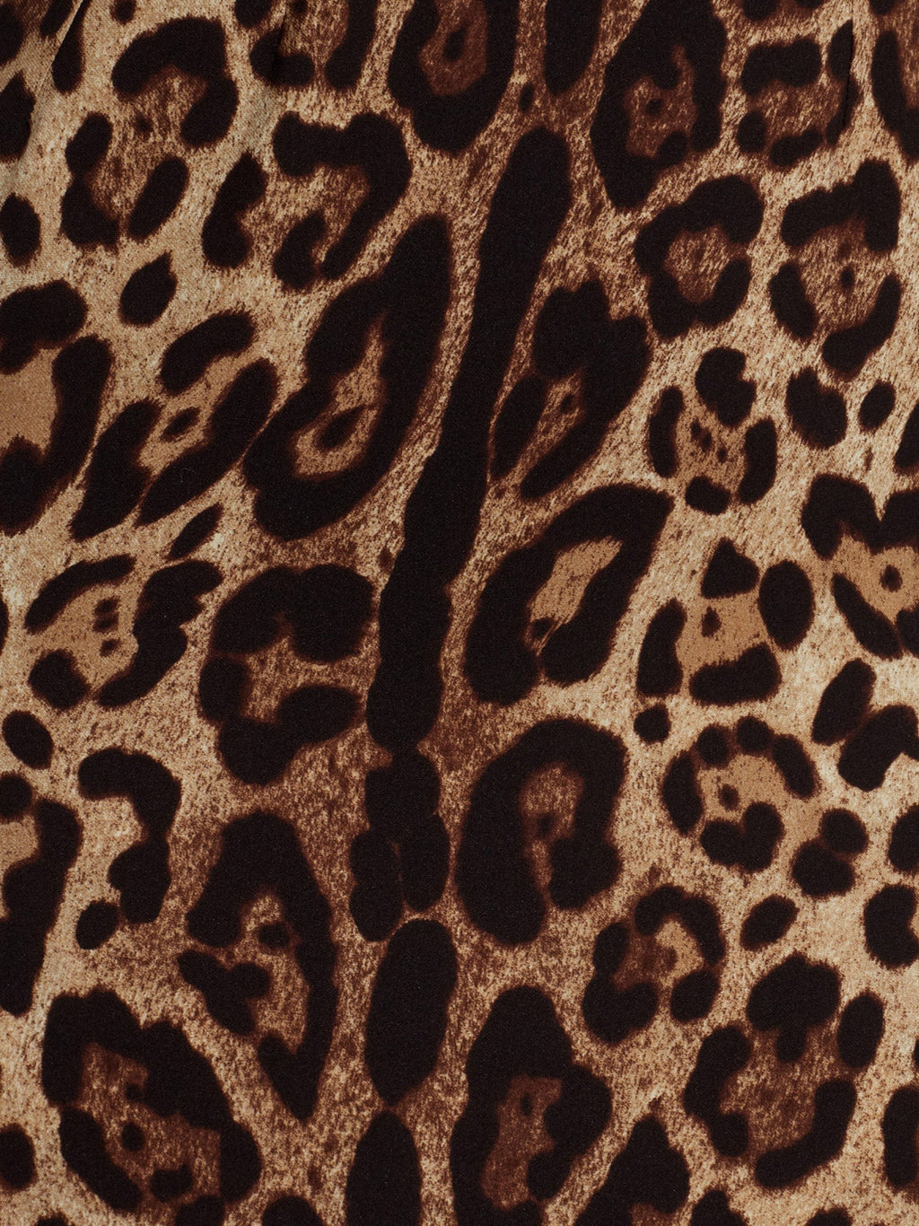 Dolce & Gabbana Women Midi Dress With Animal Print