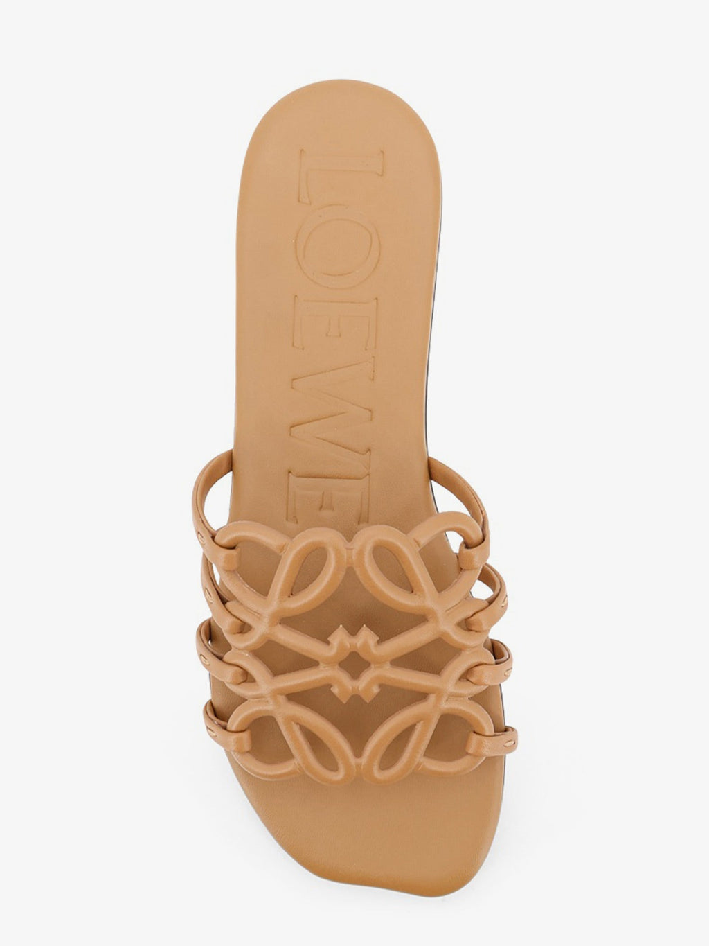 Loewe Women Paula's Ibiza Anagram Petal Leather Sandals