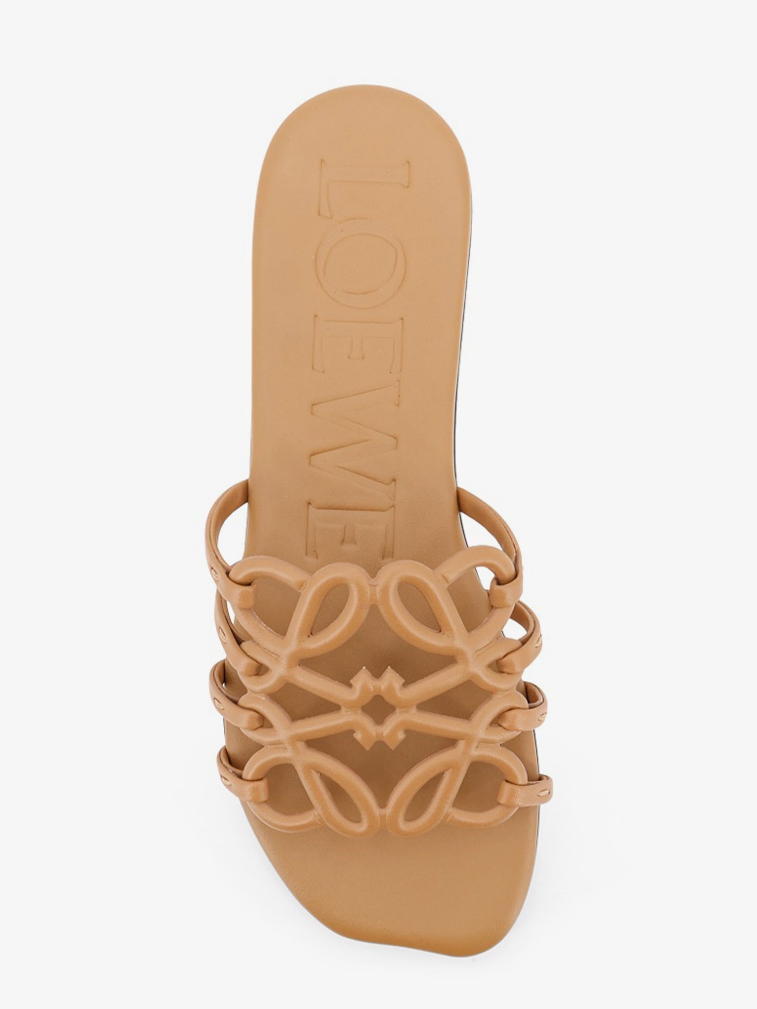Loewe Women Paula's Ibiza Anagram Petal Leather Sandals