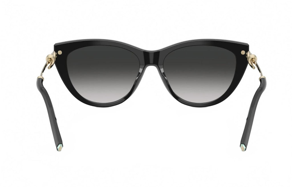 Women's Cat-Eye Sunglasses In Black