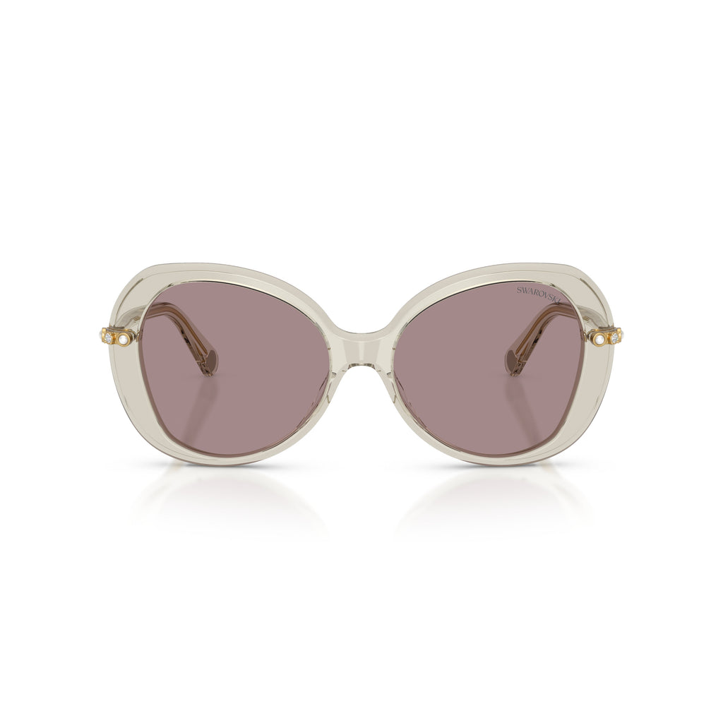 0Sk6059 Large Rounded Acetate Sunglasses with Gold-Toned Temples