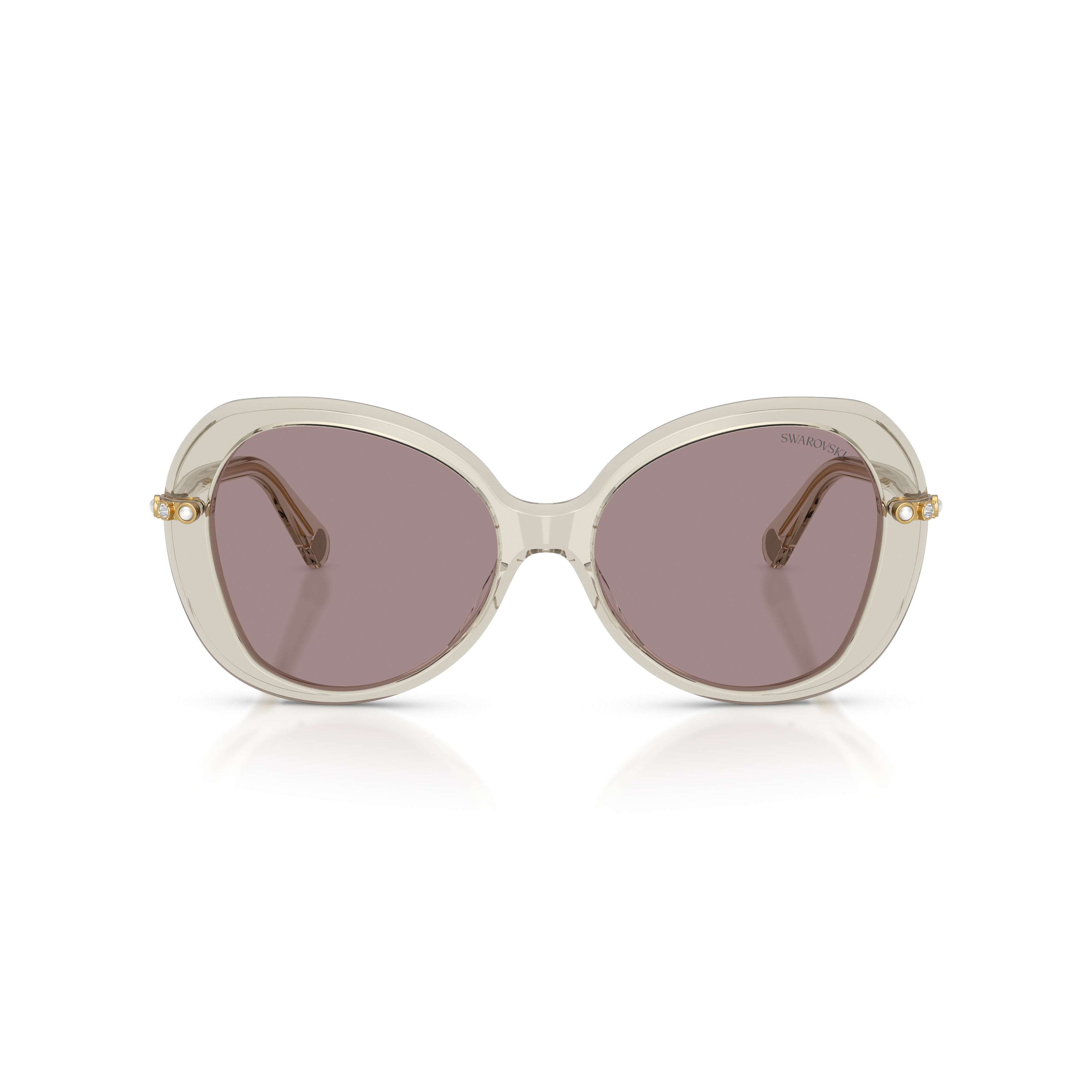 0Sk6059 Large Rounded Acetate Sunglasses with Gold-Toned Temples