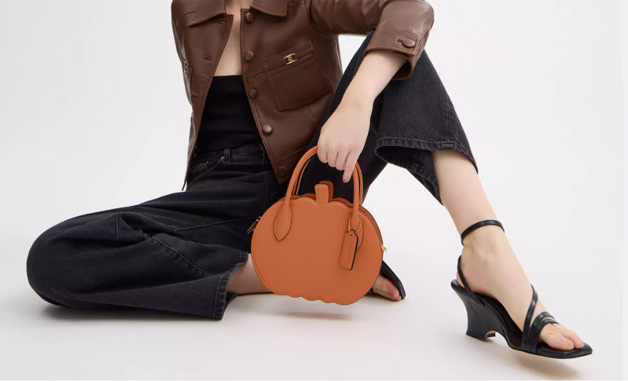 NWT Coach Pumpkin Bag In Leather