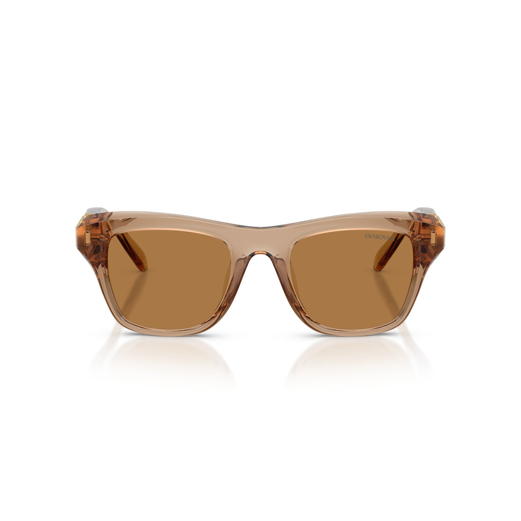 0Sk6056U Translucent Brown Square Sunglasses with Gold-Tone Accents