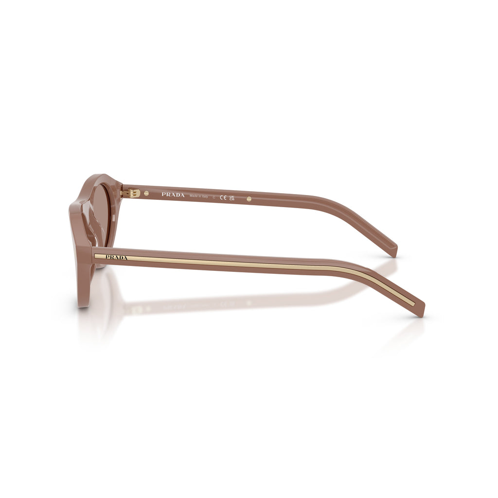 Rounded Cat-Eye Acetate Sunglasses With Gold Accents
