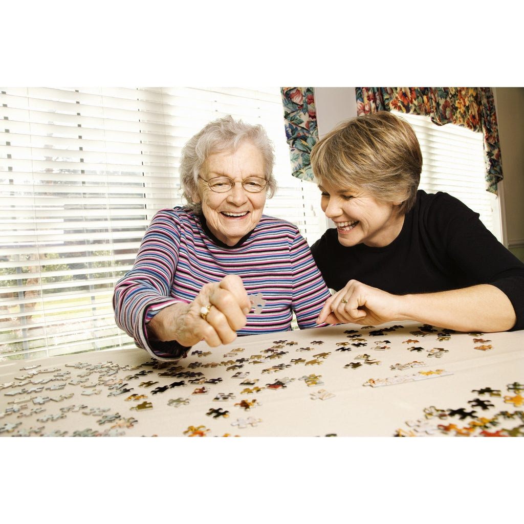 Line Up on Route 66 500 piece Jigsaw Puzzle for Adults