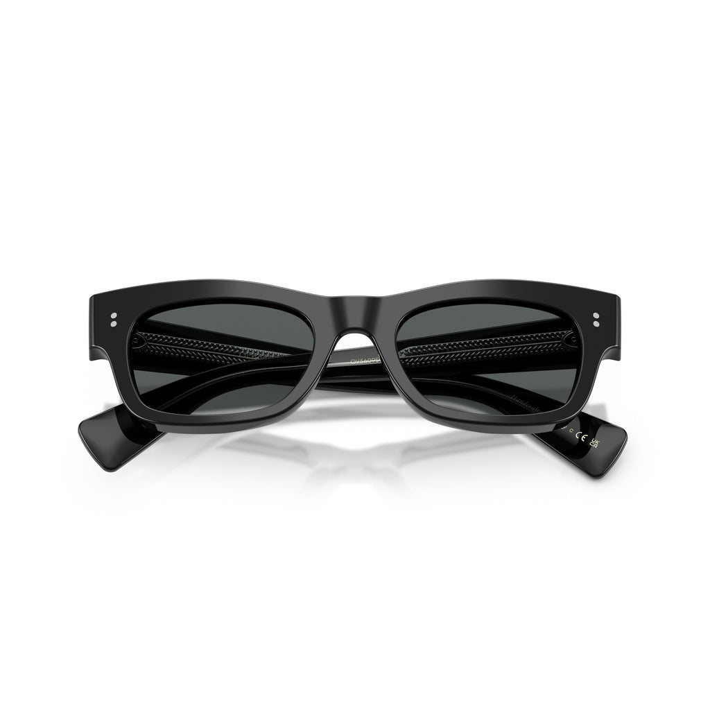 Bold Rectangular Acetate Sunglasses With Metallic Accents