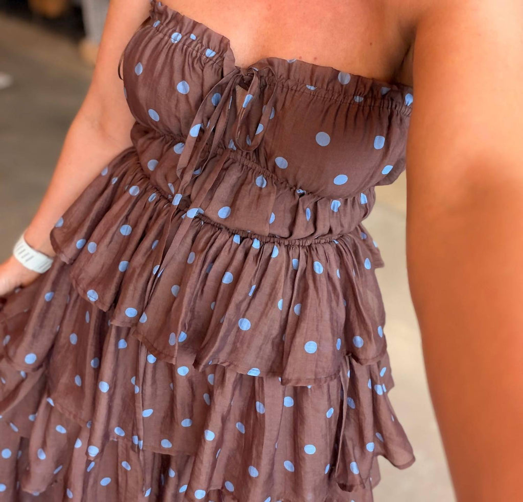 Bella Polka Dot Maxi Dress In Brown
