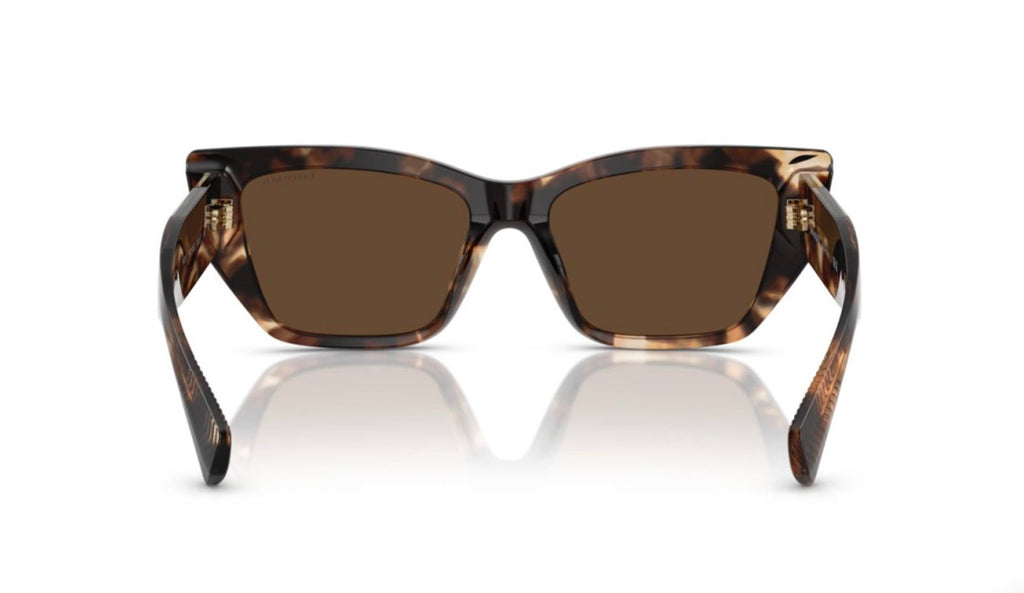 Women's Tf 4230 Sunglasses In Brown