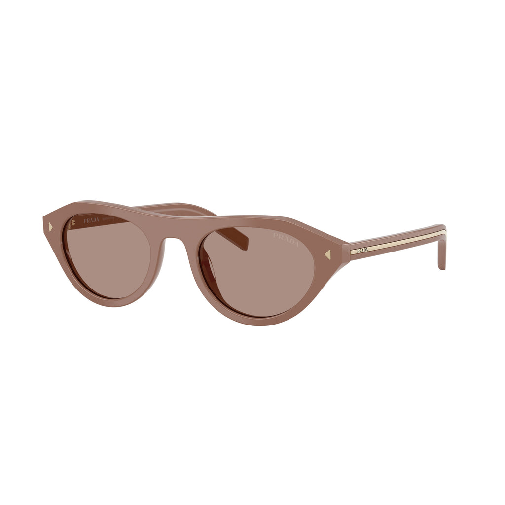 Rounded Cat-Eye Acetate Sunglasses With Gold Accents