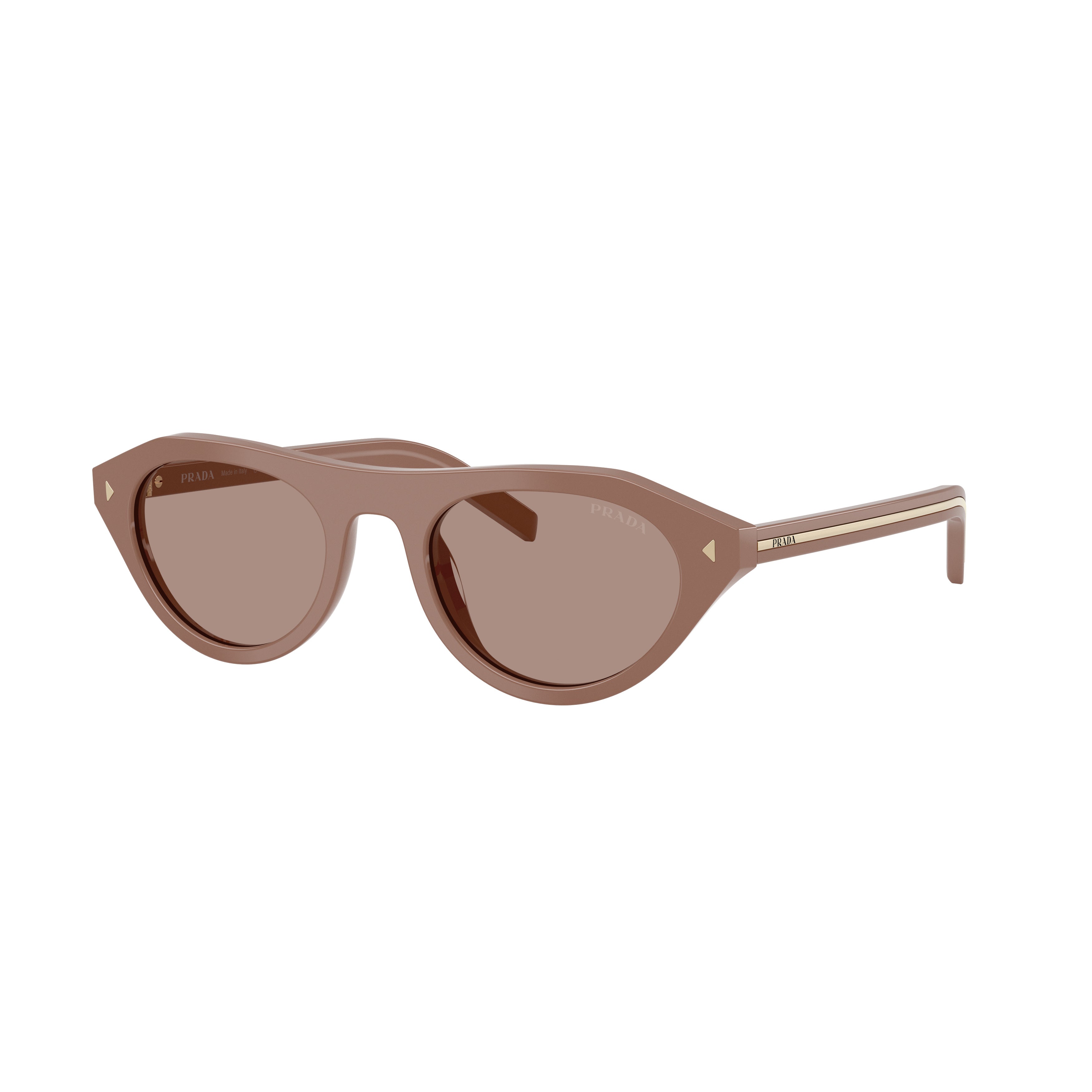 Rounded Cat-Eye Acetate Sunglasses With Gold Accents