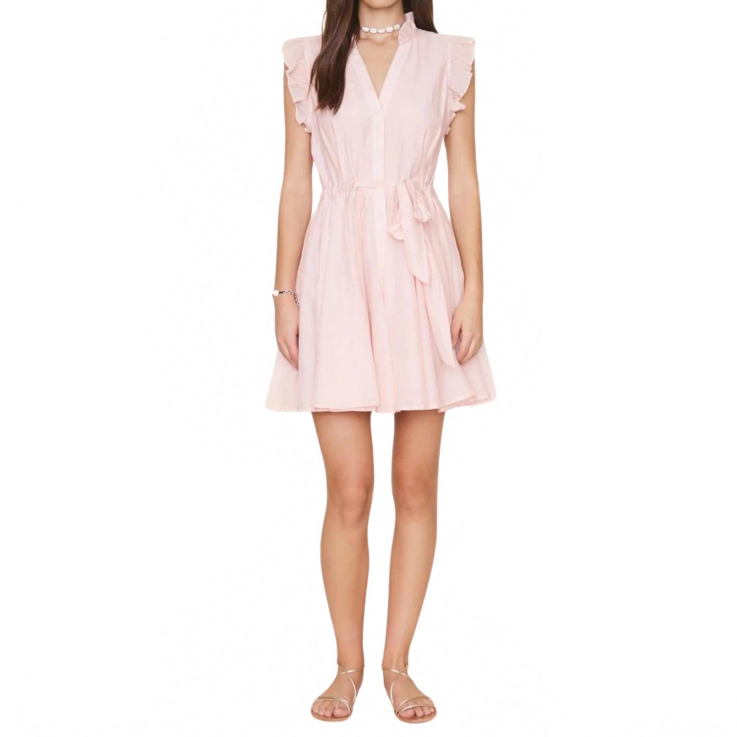 Leana Mini Dress In Soft Blush