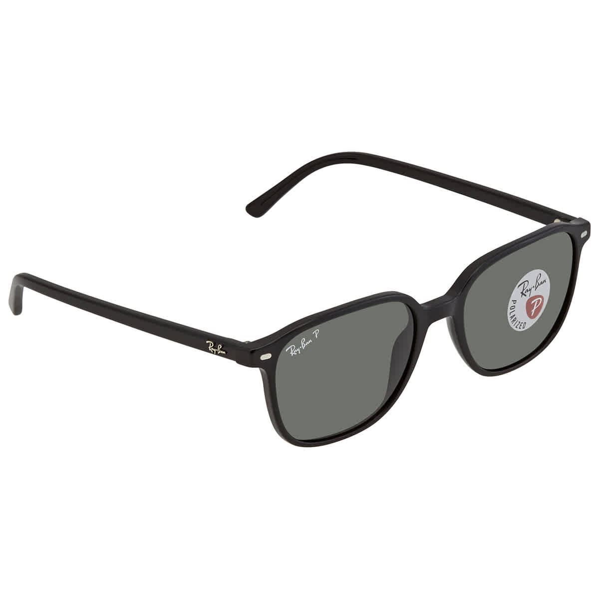 Ray Ban Leonard Polarized Green Sport Unisex Sunglasses RB2193 901/58 53