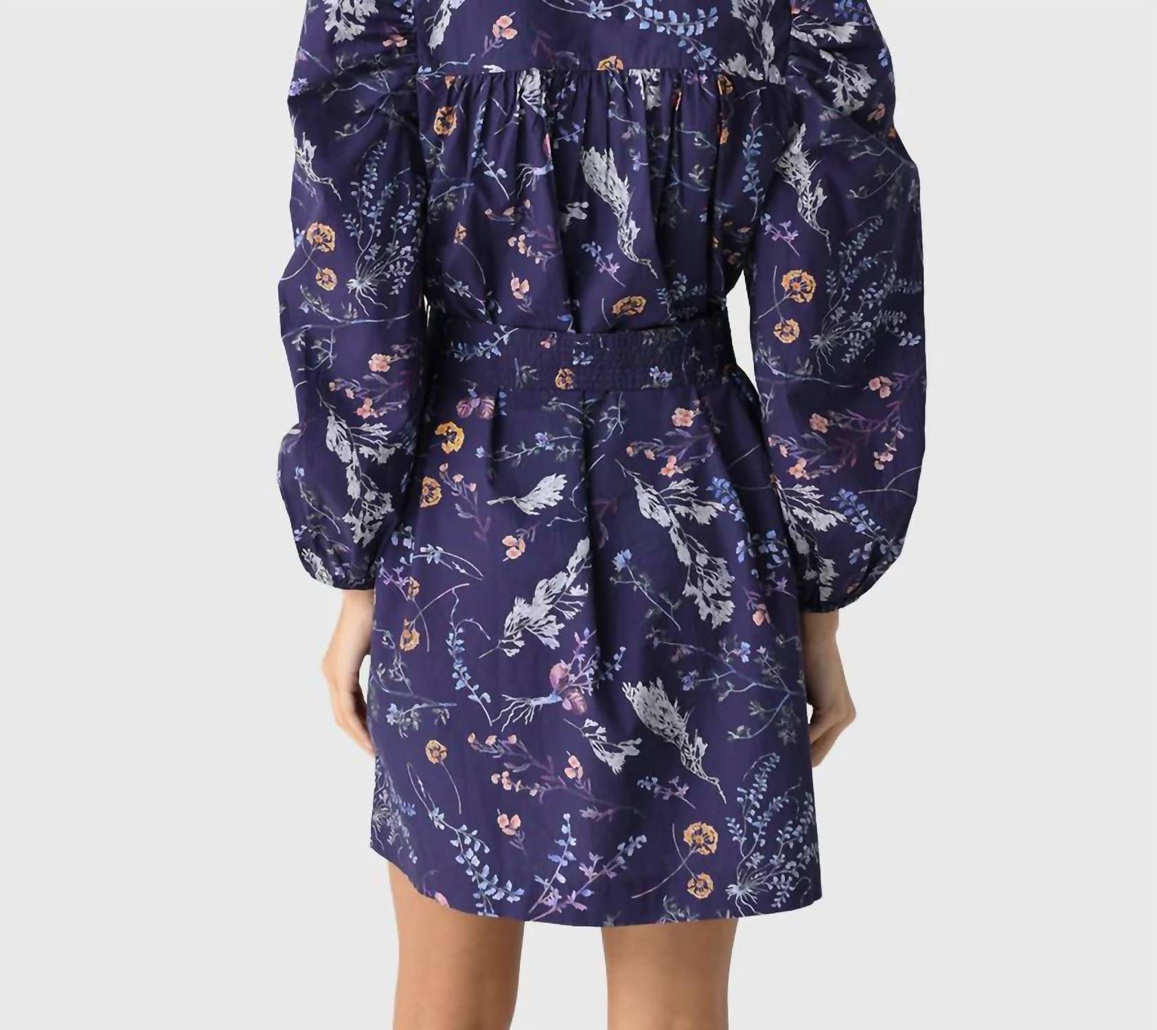 Ivana Mini Dress In Multi Print