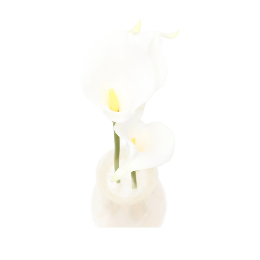 Cult Gaia White Clutch Bags Women